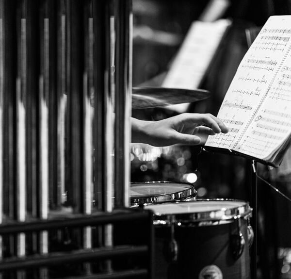 seo growth for online reach