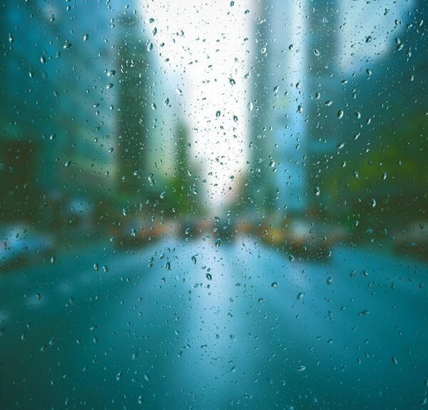 website link building service